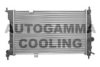 AUTOGAMMA 103176 Radiator, engine cooling